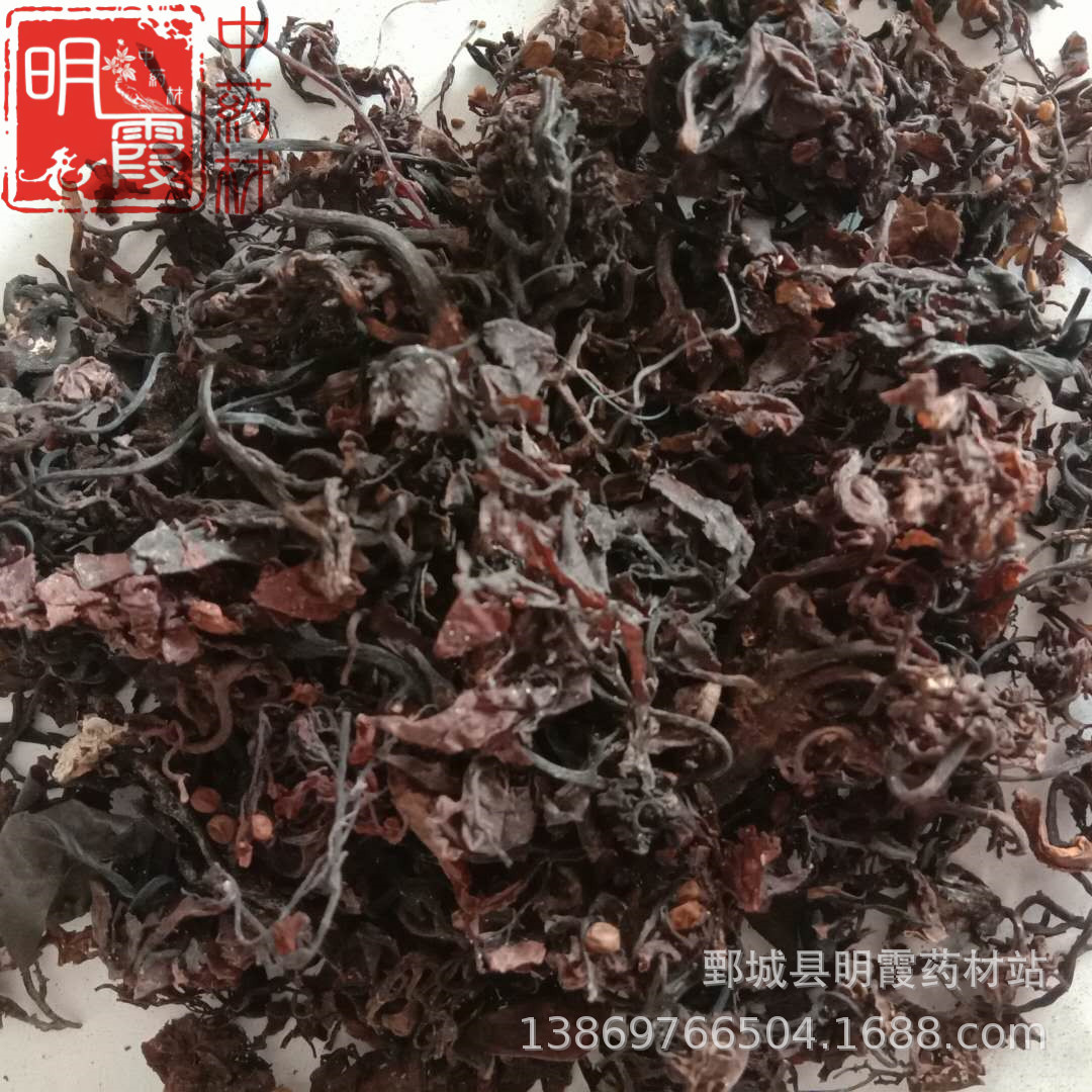 明霞药材【海藻】1000克批发零售中药材