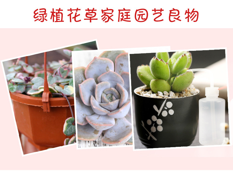 详情页_03.jpg