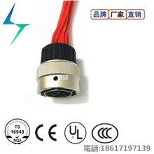 8芯封线体插头 新能源汽车BMS锂电池 电机控制器通用 卡扣连接器