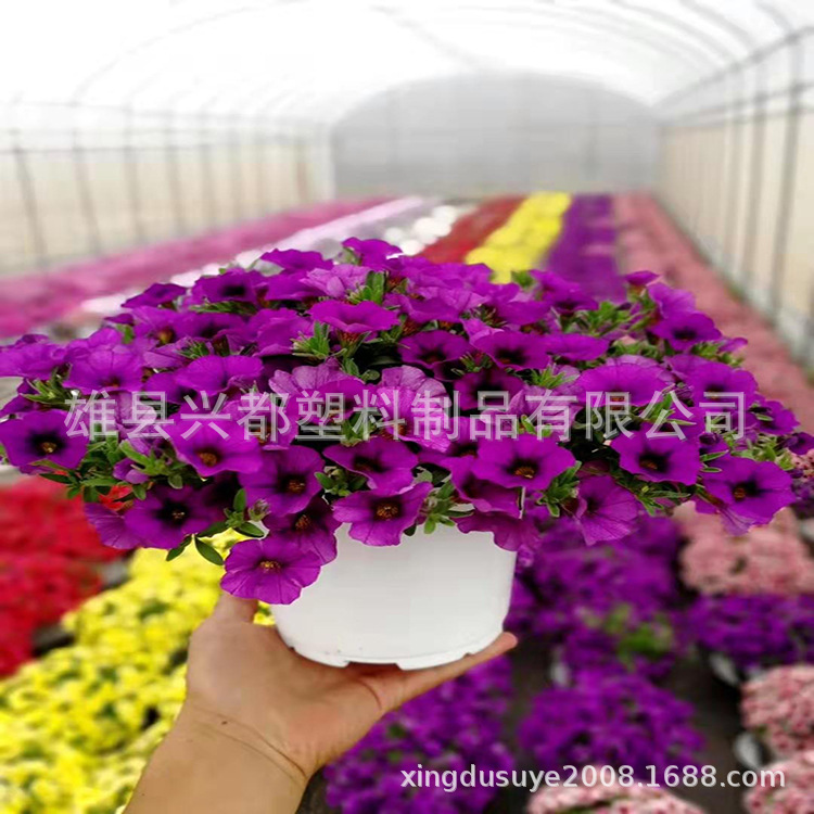 微信图片_20190727154227