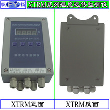 XTRM监测仪 远传监测仪  温度远传监测仪 水泥厂专用 XTRM2215