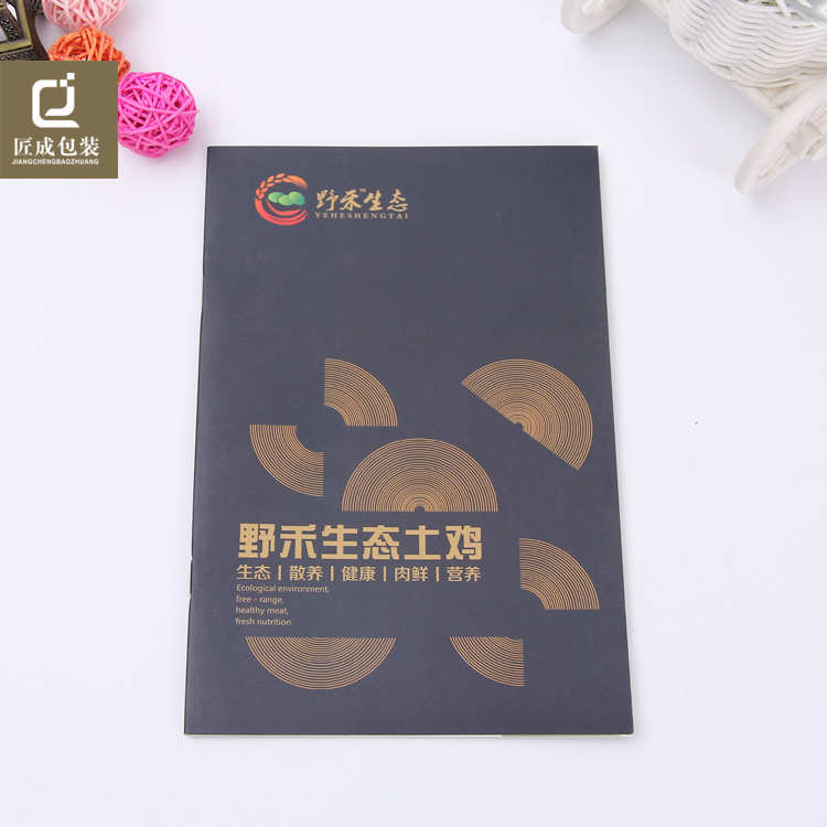 教育培训宣传画册定制骑马钉辅导班艺术班彩印招生广告宣传册广州