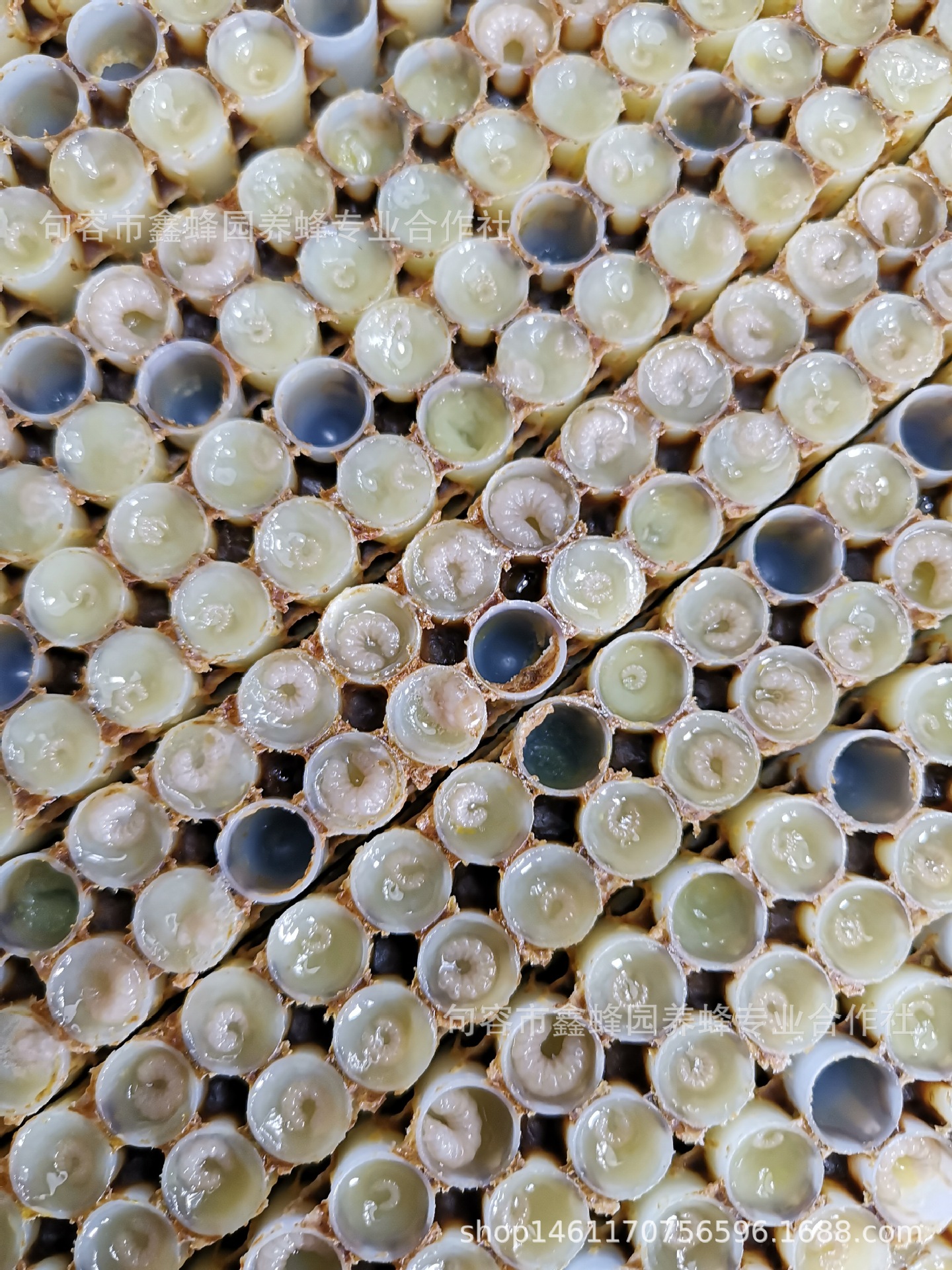 微信图片_20190324113345