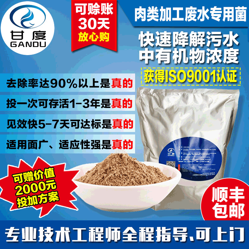 廠家直銷生物菌種汙水處理 甘度肉類加工菌種 微生物汙水處理菌種