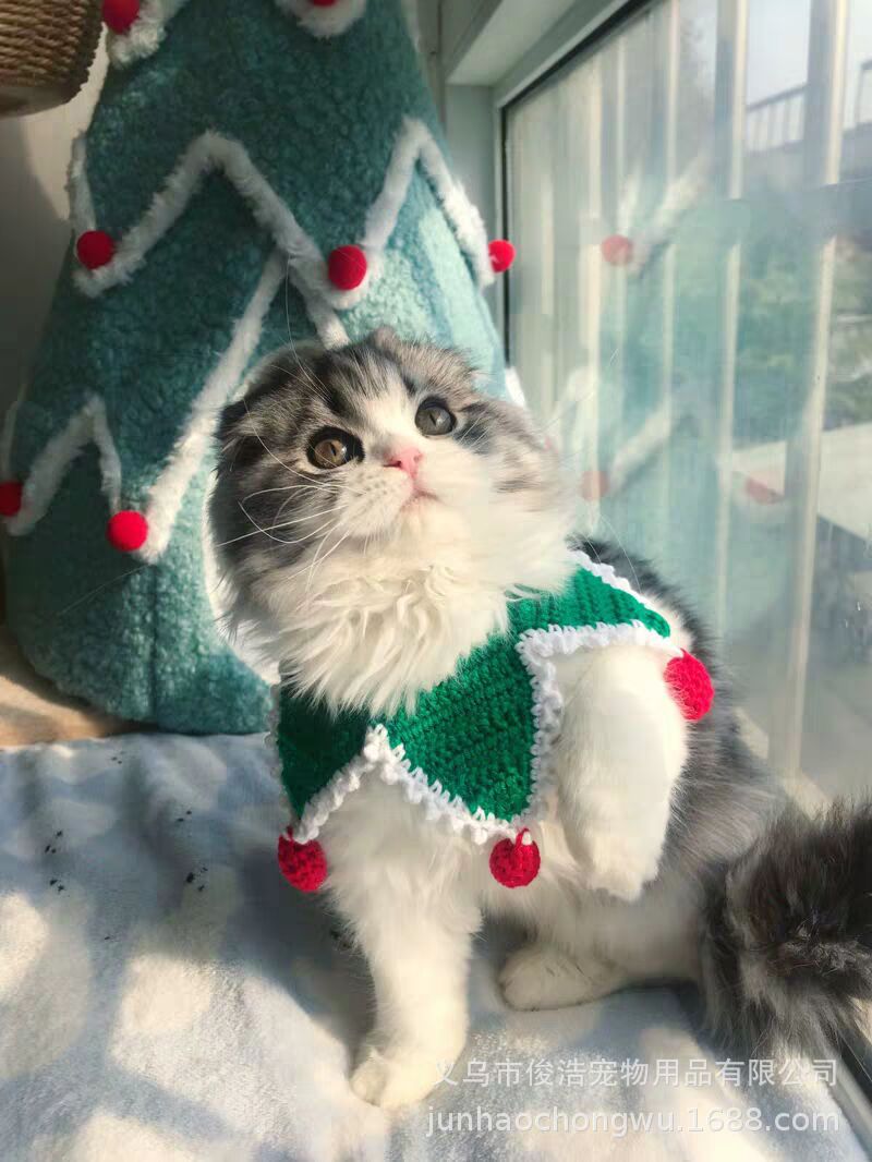 6375D50C8B89CA171885FE2CEDE6A5