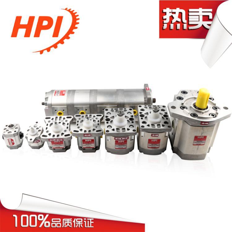 法国HPI油泵P1BAN2026BL10B02N齿轮泵/电机 原装进口