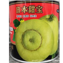甜瓜种子批发赣科 日本甜宝 早熟苹果型 香甜可口 品质优 20克