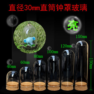 Diameter 30mm Miniature diy Dried Flower Clay Hand-made Little Prince Rose Single Small Glass Cover Wooden Shoe