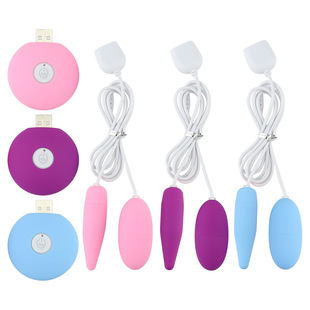 Adult supplies wholesale rechargeable USB single jump egg female masturbator strong shock waterproof double jump egg AliExpress explosion