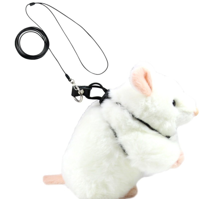 fdsafdasfdsafdsafdsafdsaf_cone