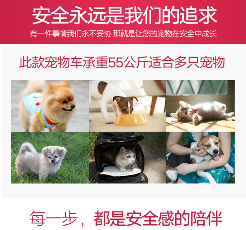 宠物车3-3_09.jpg