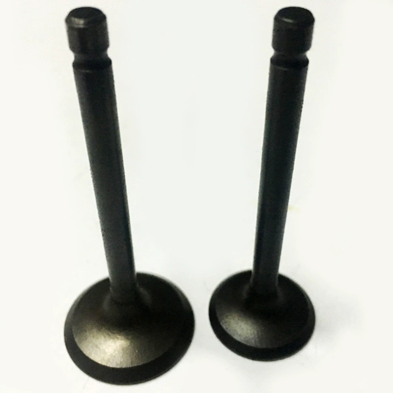 Аксессуары для мотоциклов Tianjian 125 Tianqi YBR125 JYM125 Tianjian клапан впускной и выпускной дверной стержень