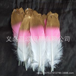 �W�t������ë��ɫ���h��ë ��ʴ��hë ����ɫ���h �ֹ���ë�o��