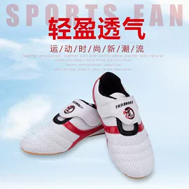 轮滑、速滑;综合训练鞋;舞蹈鞋