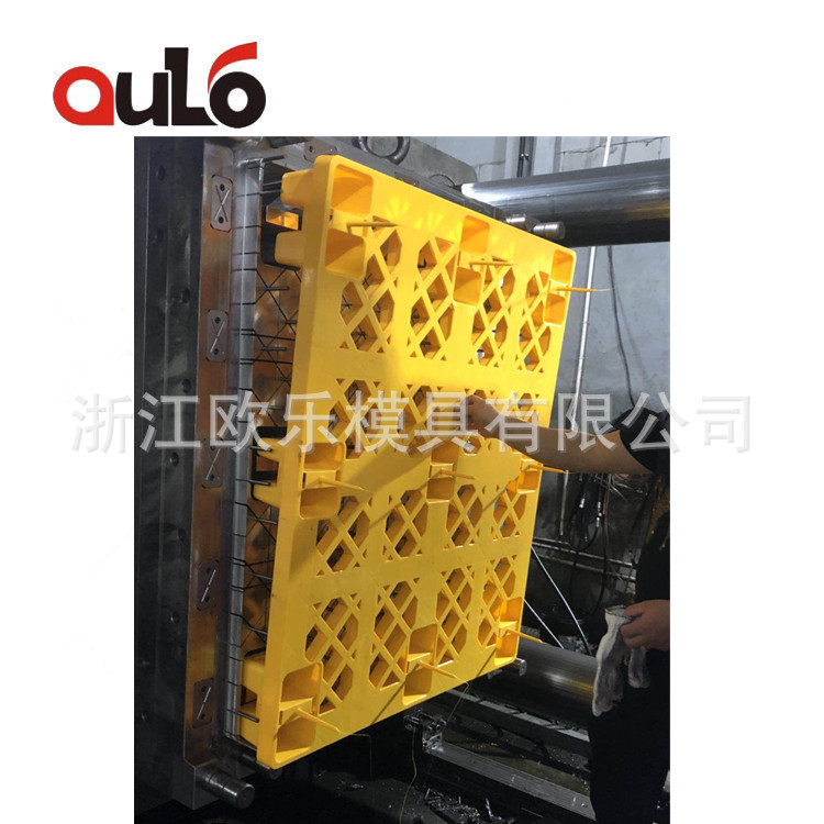 781e5af8a3d2daa21816c7f81314b5