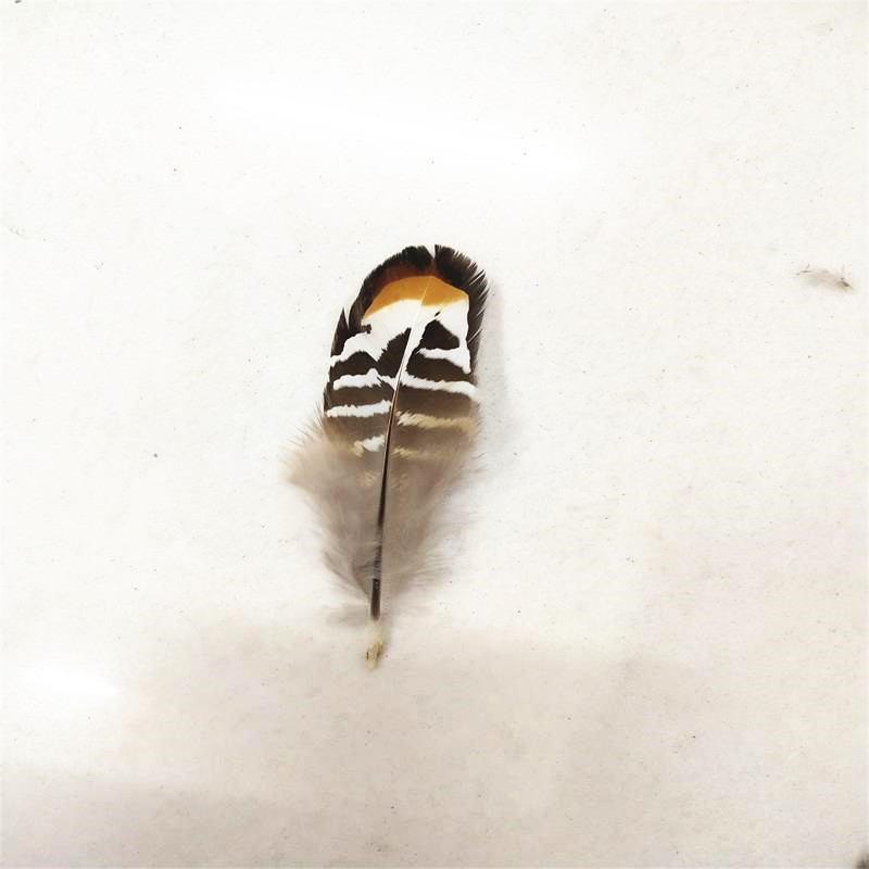 QQ图片20190411142317_副本