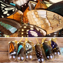 3D立体蝴蝶翅膀玻璃罩许愿瓶填充物DIY饰品配件蝴蝶标本项链配件