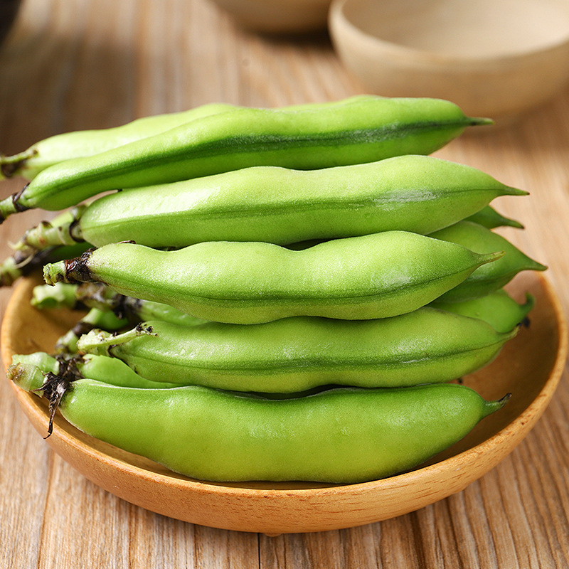 云南高原新鲜带壳蚕豆5斤农家自种生蚕豆新鲜蔬菜胡豆罗汉豆包邮|ms
