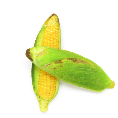 New pet plush toy with sound, simulated vegetable chicken legs, puppy dog ​​molar, bite-resistant, thick canvas cat toy