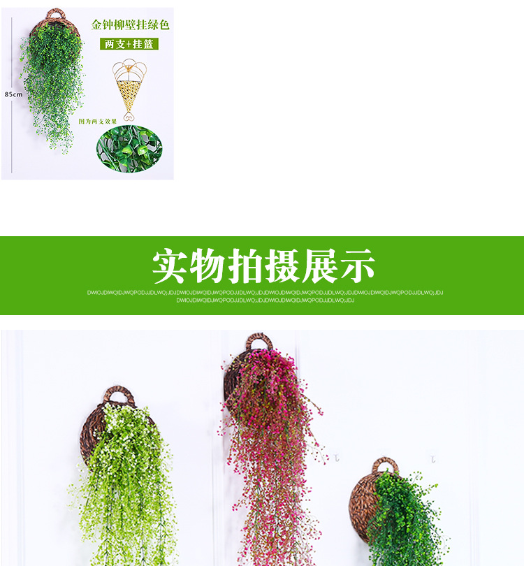 金钟柳 金钟柳壁挂