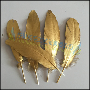 �Zë���h��ɫ��ë�Zë����ɫ��ë�羳�����S�ҬF؛���l�yɫdiy