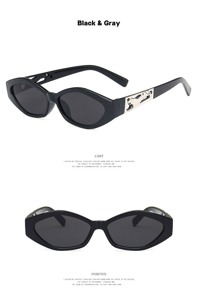 Retro Women's Sunglasses display picture 4