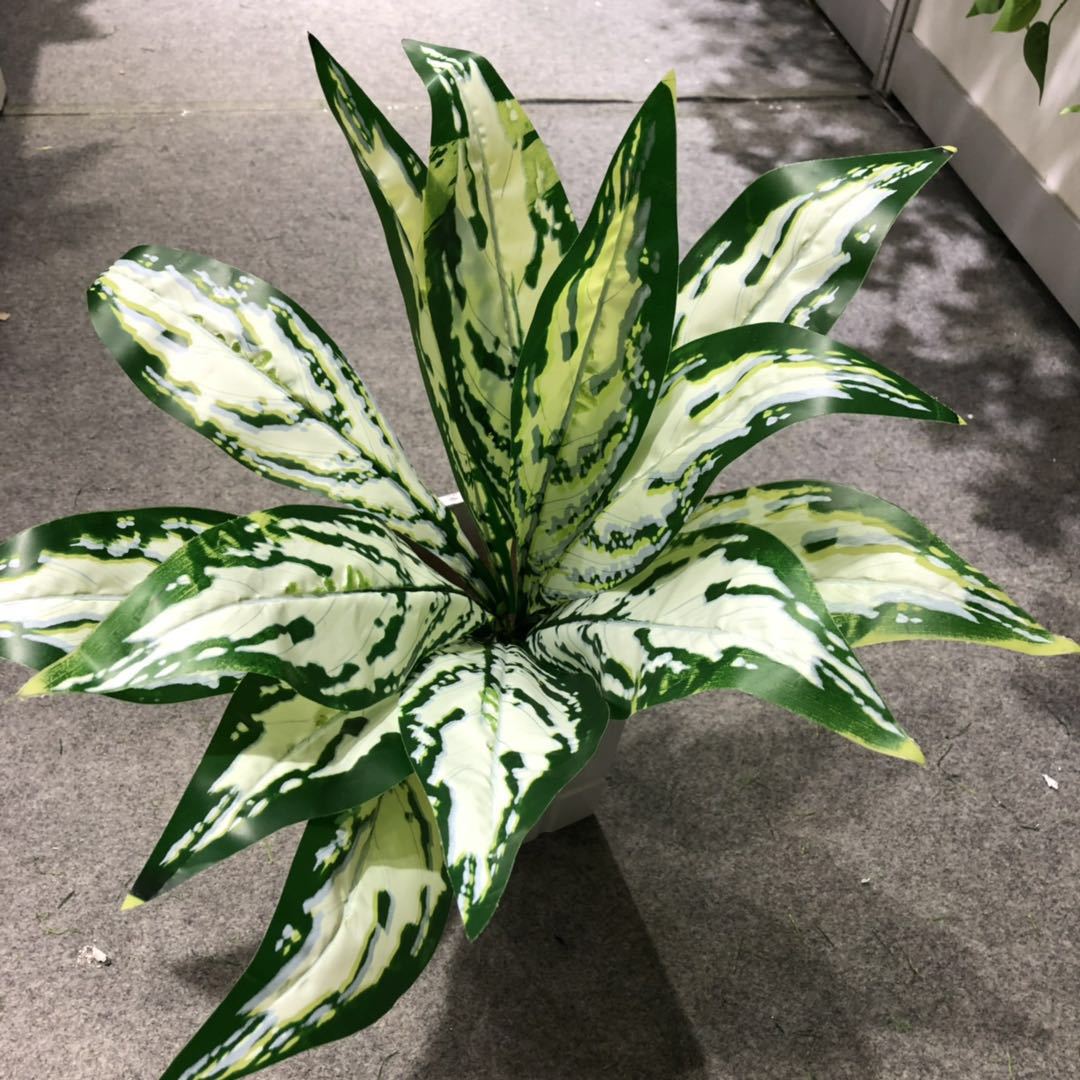 DIY artificial bird's nest fern, magnolia leaf, artificial plant wall accessories, small bonsai, green plants, hand-felt leaves, Brazilian wood detail image 13