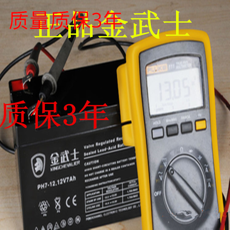 金武士蓄电池PW38-12（12v38ah）生产