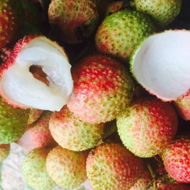 水果 广西荔枝  荔枝新鲜 妃子笑荔枝  水果荔枝一件代发|ms