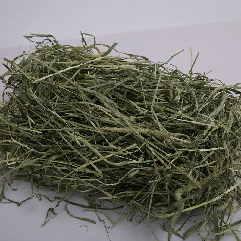 提摩西草,兔子干草,龙猫豚鼠牧草,提草,兔粮荷兰猪饲料草粮,1kg箱装