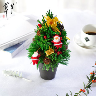 �羳�S�҄�����������Y���}�Q�䁆�R�d���˹��Y�����Q�a��؛Դ