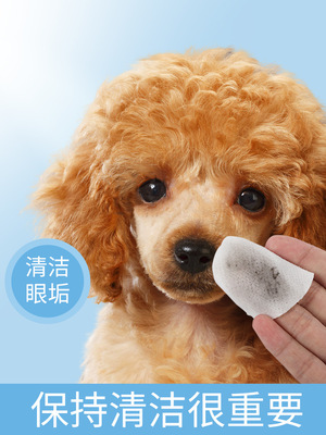 桶裝眼部寵物狗濕巾犬貓通用擦拭淚痕濕巾紙眼部清潔去汙寵物用品