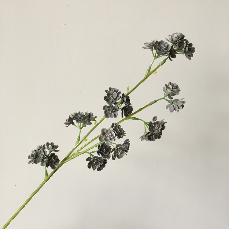 微信图片_201910101657051_副本