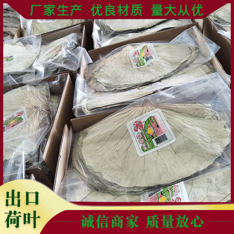 Лист лотоса [Dingxin] экспорт отобранных вручную листьев лотоса цельный сухой размер разновидность листьев лотоса лекарственный чай из листьев лотоса