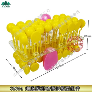 3223细胞膜流动镶嵌模型组件可组装中学生物化学实验器材教学仪器