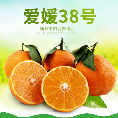 【网红爆款 四川爱媛38号果冻橙】橙子新鲜水果柑橘桔5斤8斤包邮|ms