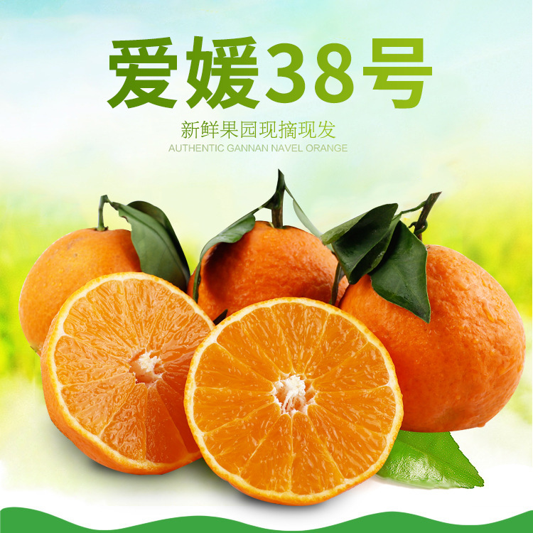 【网红爆款 四川爱媛38号果冻橙】橙子新鲜水果柑橘桔5斤8斤包邮|ms