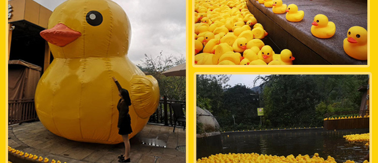 微信图片_20191115170908