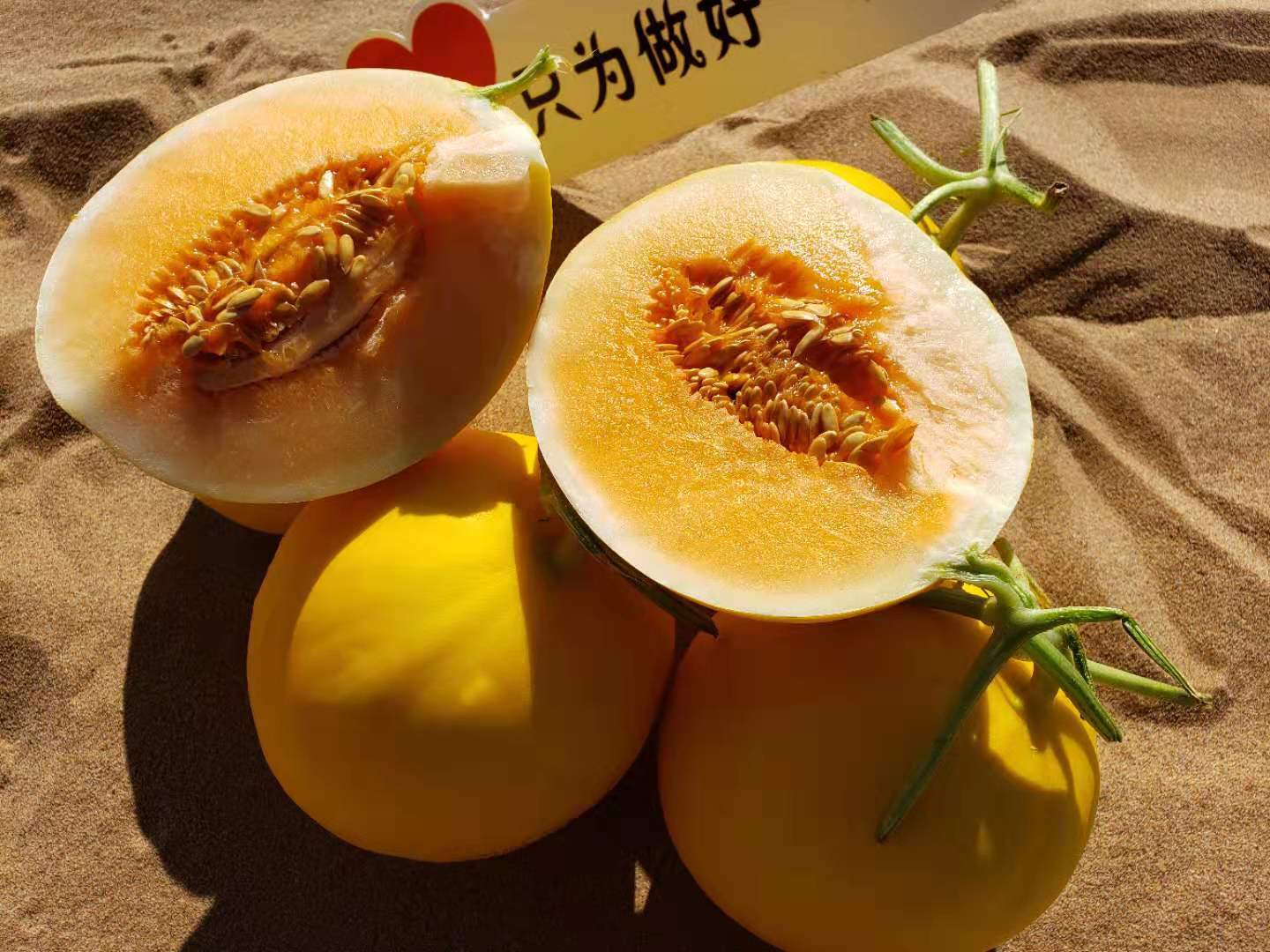 甘肅民勤沙漠甜瓜（金紅寶），肉厚瓤甜酥脆爽口，甜度高達18以上