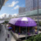 定制紫色籃球賽事篷房  裝配式體育館 篷房戶外活動 上海