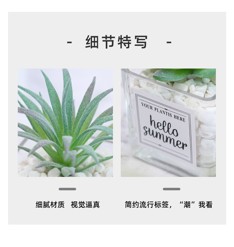 北欧仿真植物迷你多肉盆栽摆件 创意石子玻璃瓶绿植桌面装饰盆栽详情13