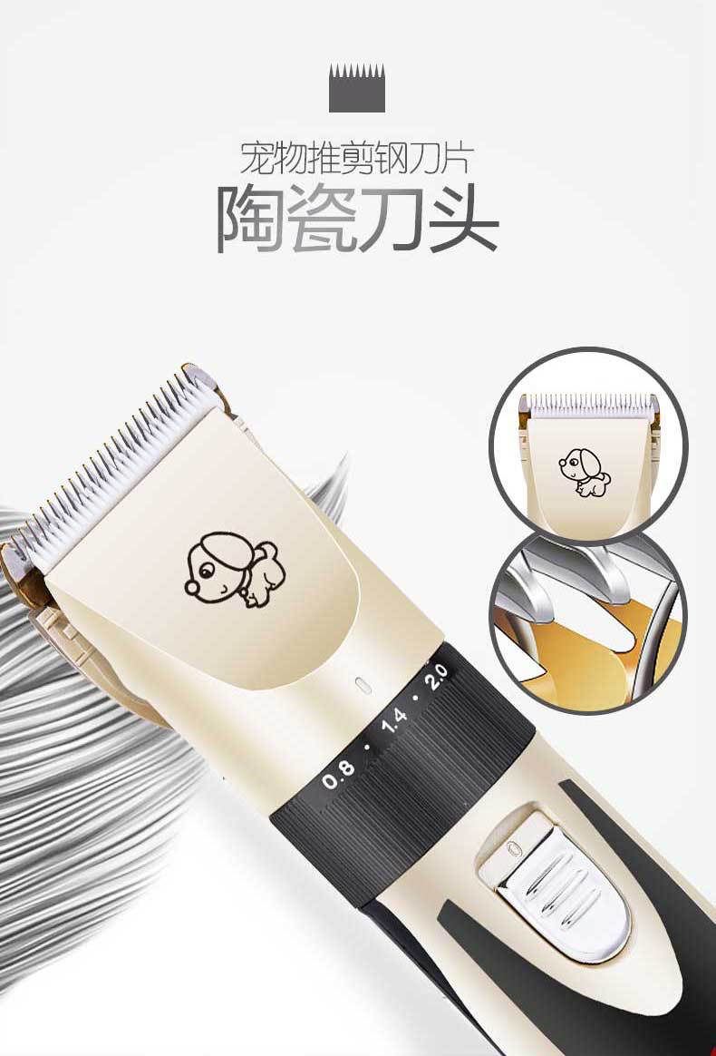 C8新款1_03