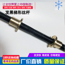 ֱ2055󌧳̴ݾ^zUlڔD̎˲ӹ