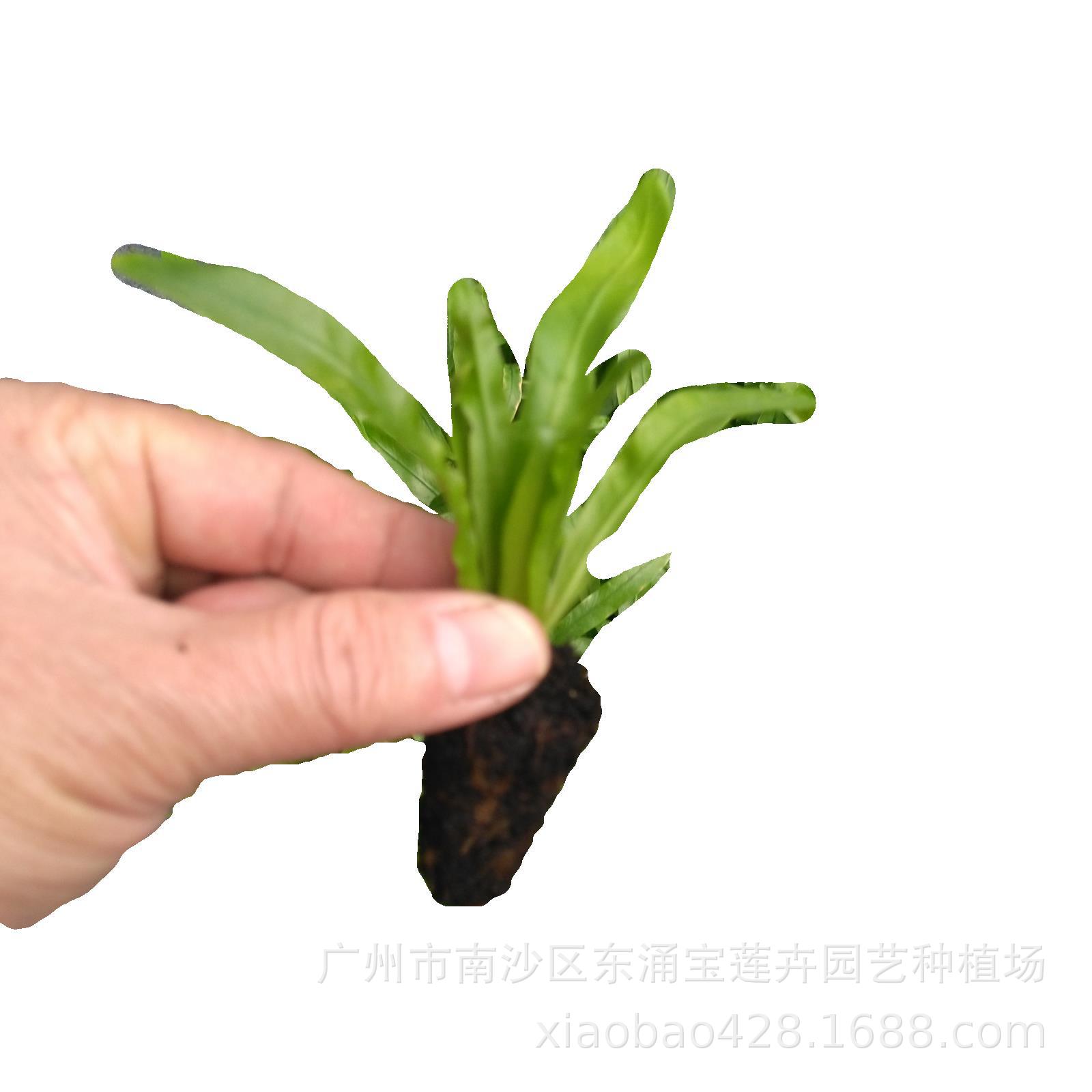 _20190921141858789942