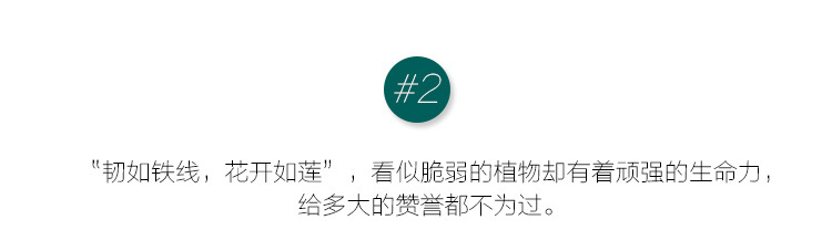 O1CN01vTsY3L1XaYxTCuRu8_!!2201