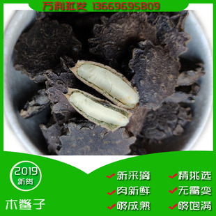ľ�M��ľ����ľз��ľ�M��ľ�M©���ӵ�ͩ��ľ�M������������