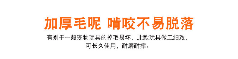 荣昌体育详情7_05