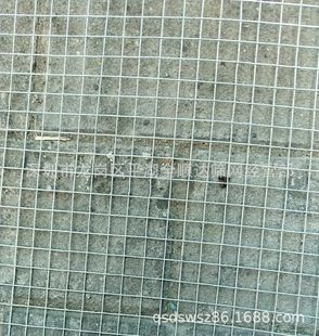 ���� ����\�W ���U�W  �A�ϳ�M11��127