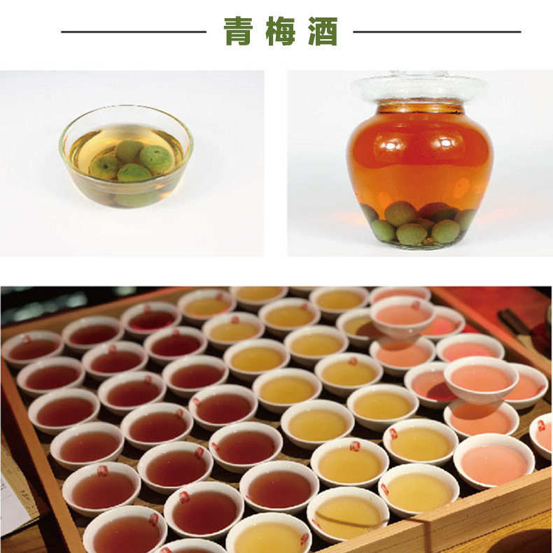 纯粮青梅水果酒 原汁水果青梅果酒低价批发 原浆青梅酒果酒招商|ms