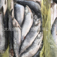 熊鱼】_熊鱼品牌/图片/价格_熊鱼批发_阿里巴巴